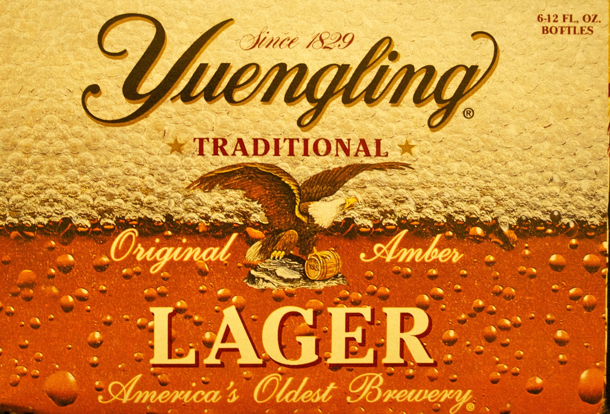 Yuengling Traditional Lager review label