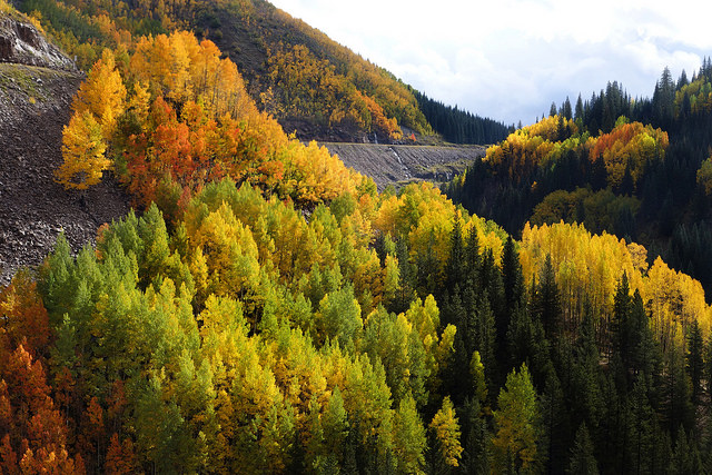 Fall Colors along the Million Dollar Highway