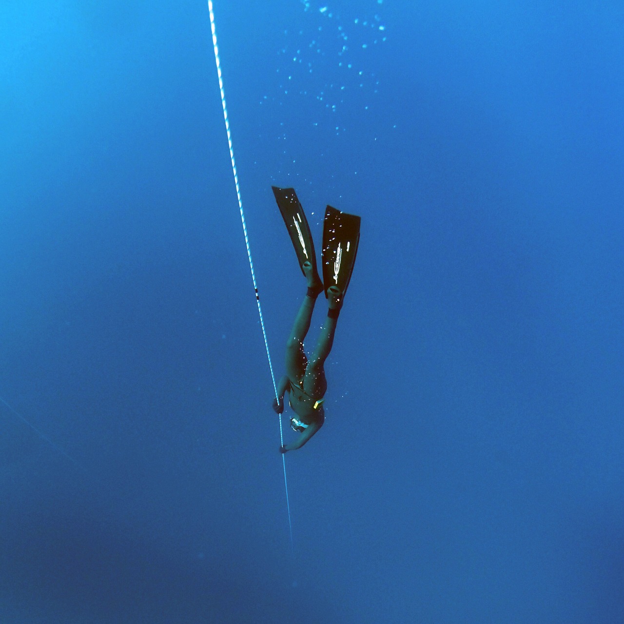 diving skills Freediving Open Ocean