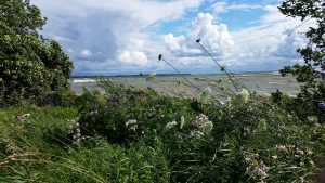 survival Work Outdoors