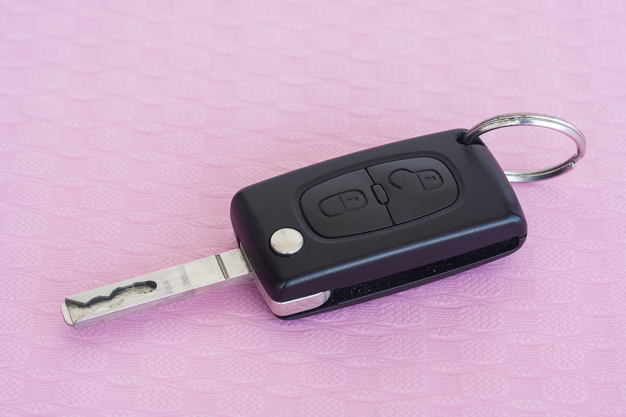 Car Owner car key