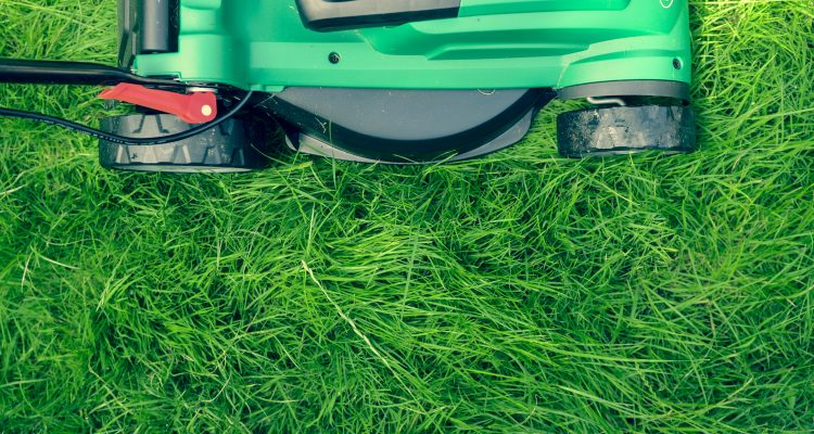 Maintain Your Lawn smart gardening green and black lawn mower on green grass