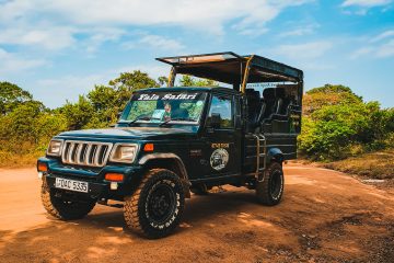Vehicle for Your Business black jeep wrangler on dirt road during daytime