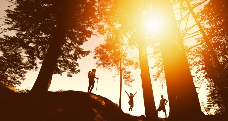 Family Vacation Exercising outdoors Clean Air Fit Lifestyle silhouette photo of three person near tall trees