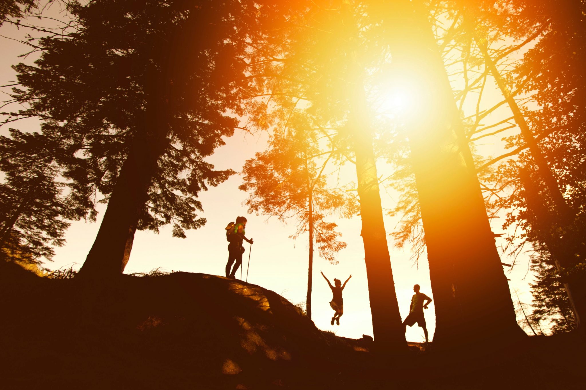 Family Vacation Exercising outdoors Clean Air Fit Lifestyle silhouette photo of three person near tall trees