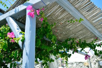 Traveling to Mexico white pergola