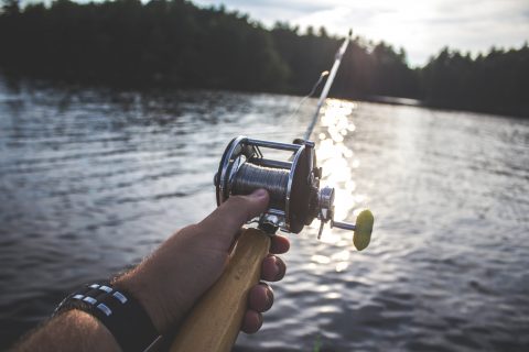 Fishing Gear hobbies person holding black and silver fishing reel