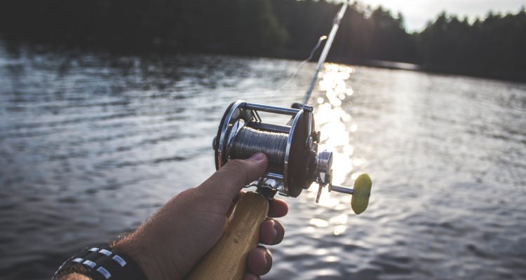 Fishing Gear hobbies person holding black and silver fishing reel