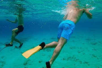 Snorkeling man in blue shorts swimming in water