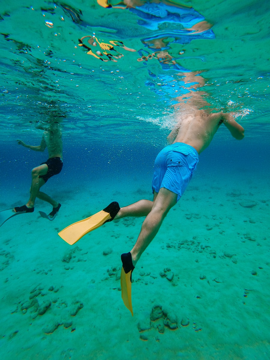 Snorkeling man in blue shorts swimming in water