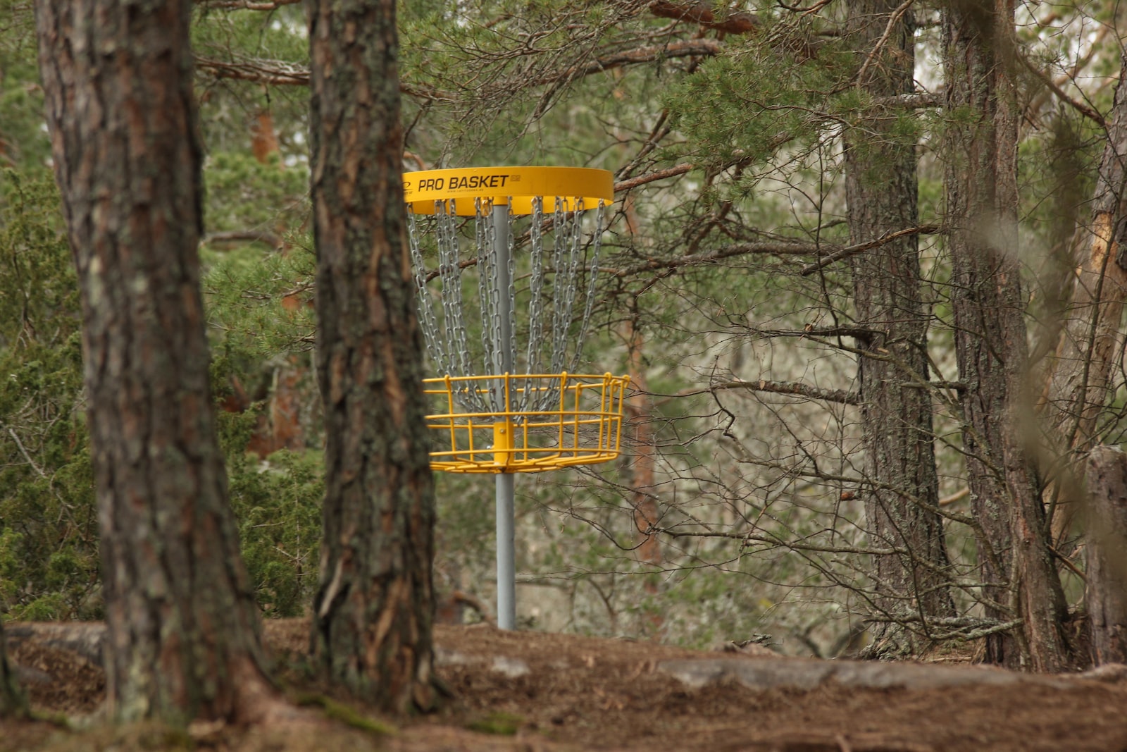 Disc Golf yellow and black metal signage near trees during daytime