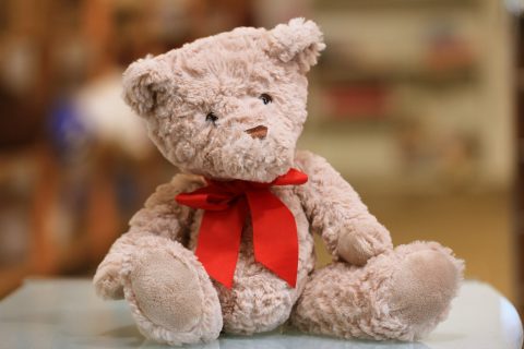 Soft Toy Hospital selective focus photo of brown teddy bear with red bow