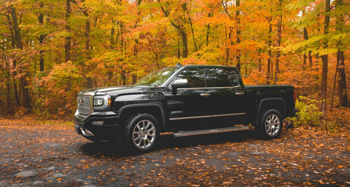 fuel best diesel truck black GMC crew cab pickup truck parked near brown trees during daytime